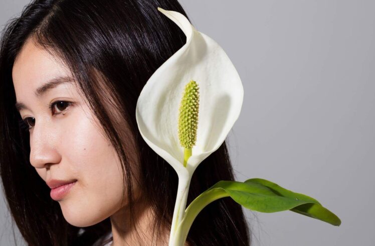 モデル_米山直子